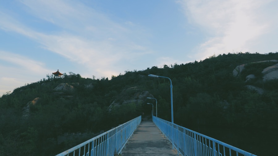 Photo Bridge